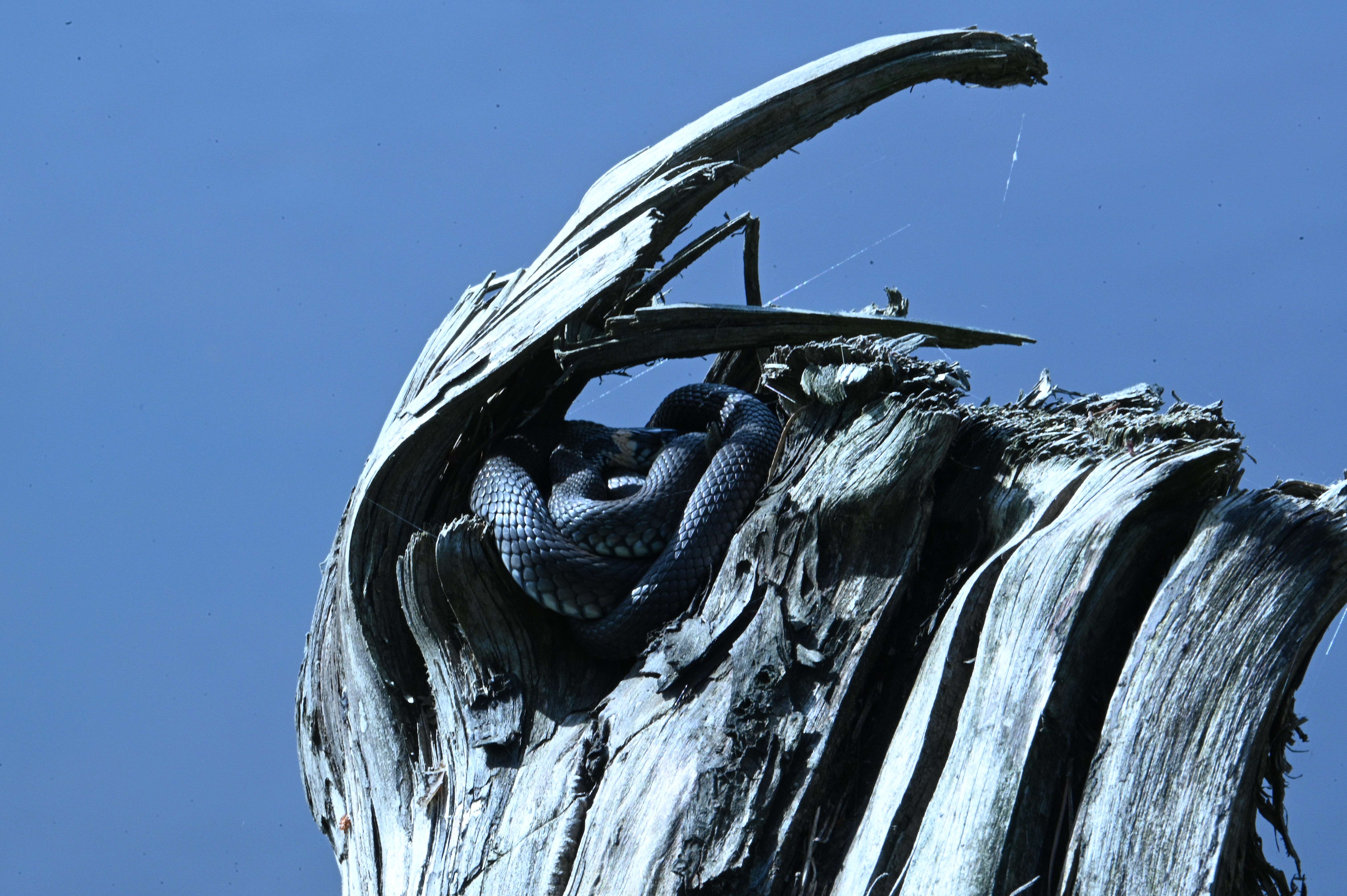 2025/07/09-14 - trip/DSC_0504.JPG